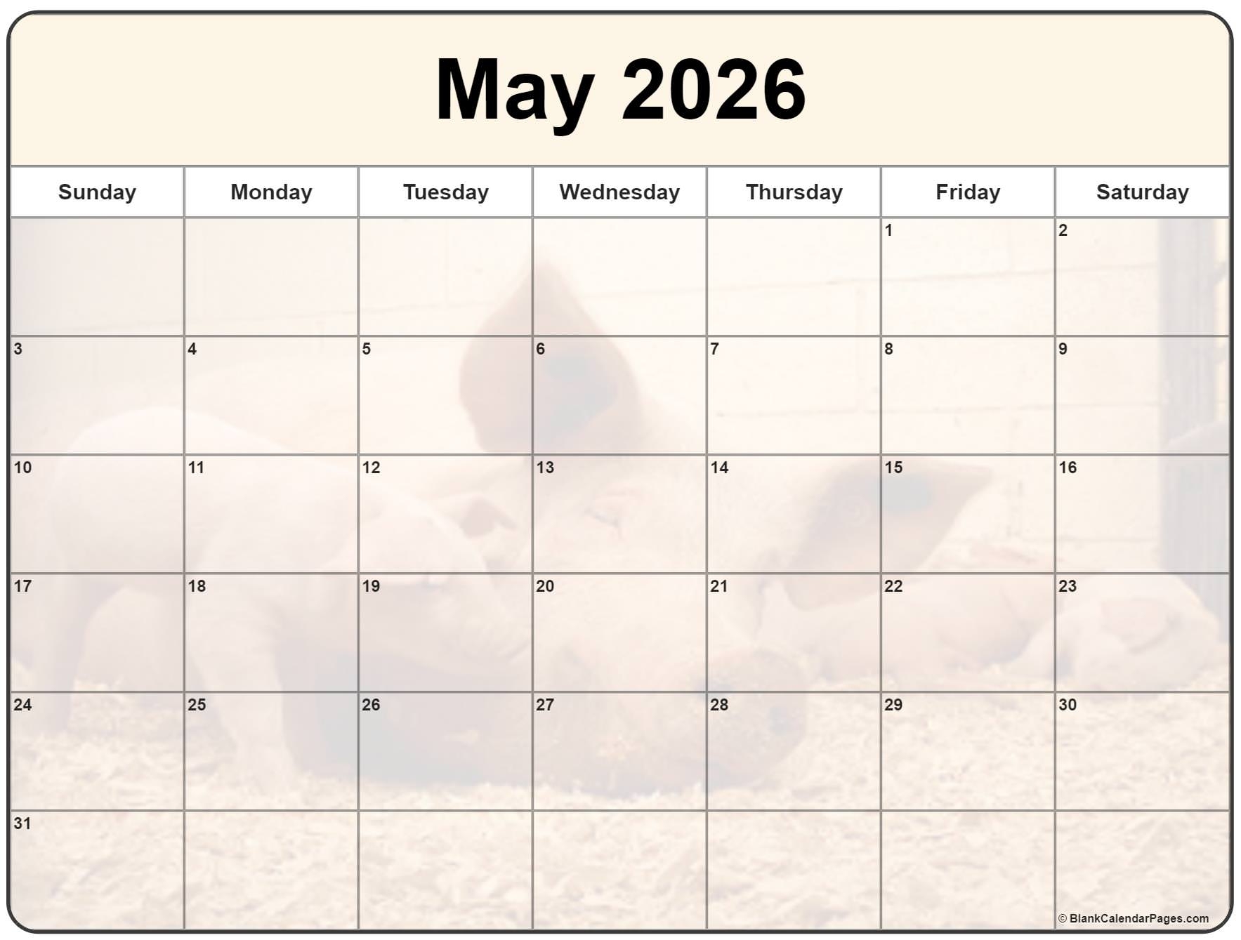 Blank May 2026 Calendar