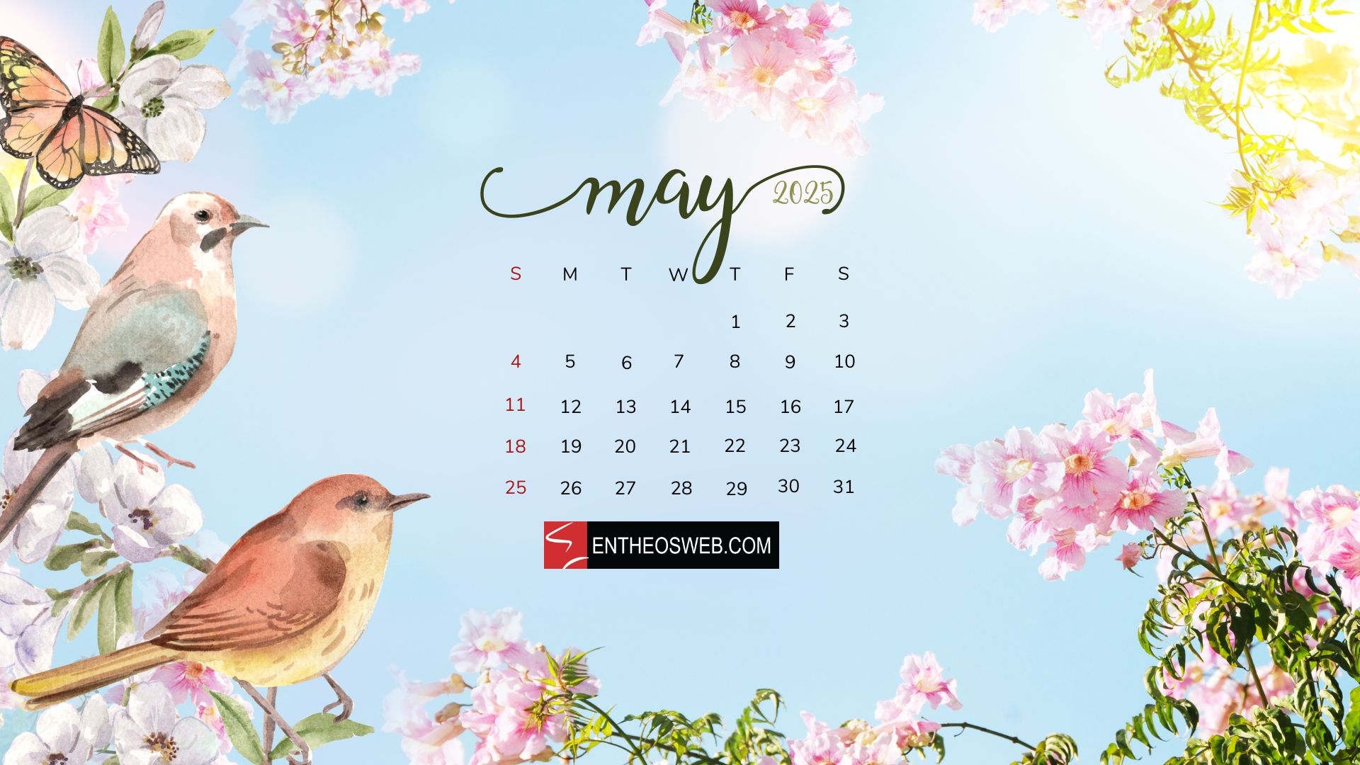 May Wallpaper Calendar 2026