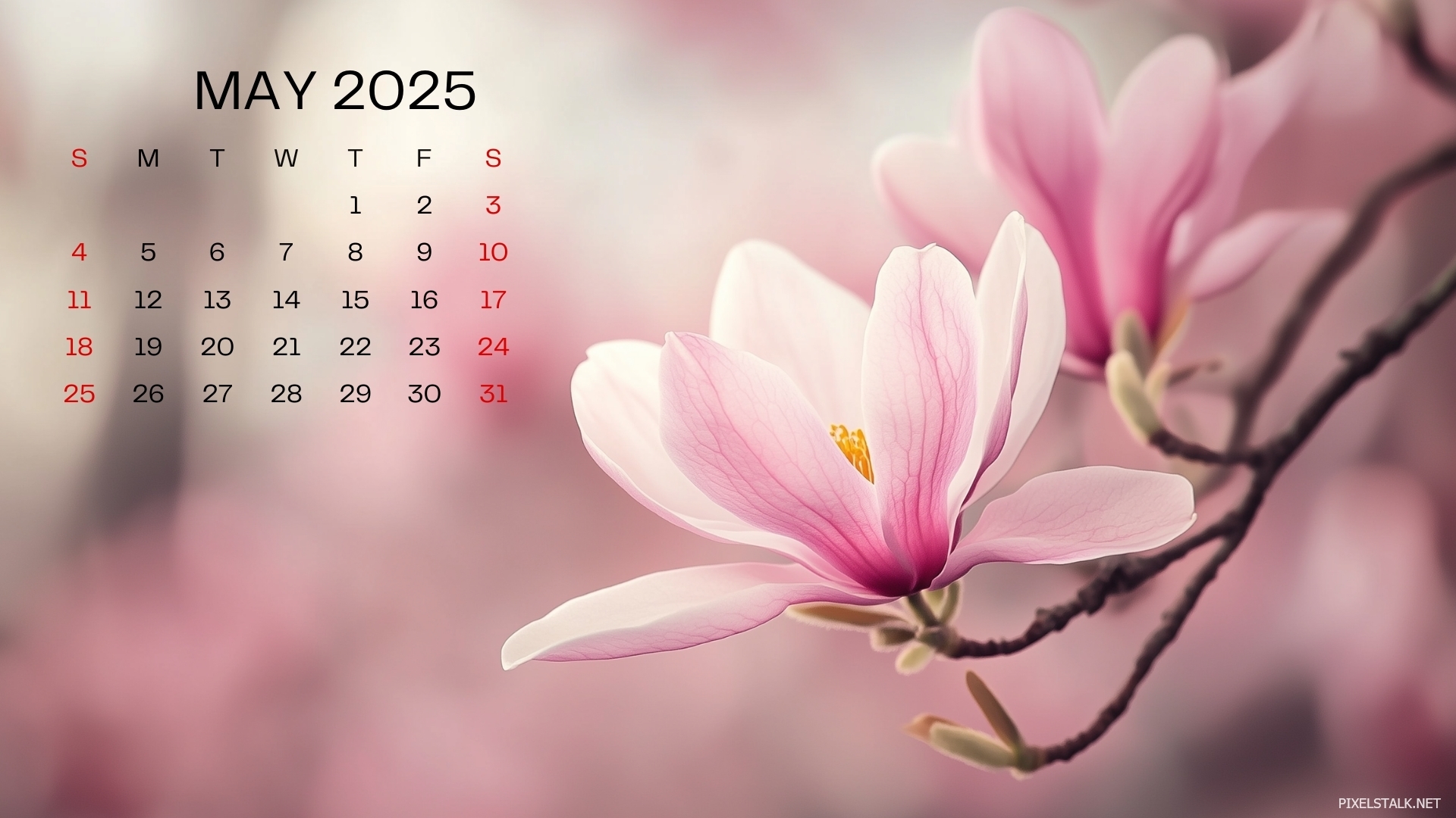 May 2025 Calendar HD Wallpapers Free Download