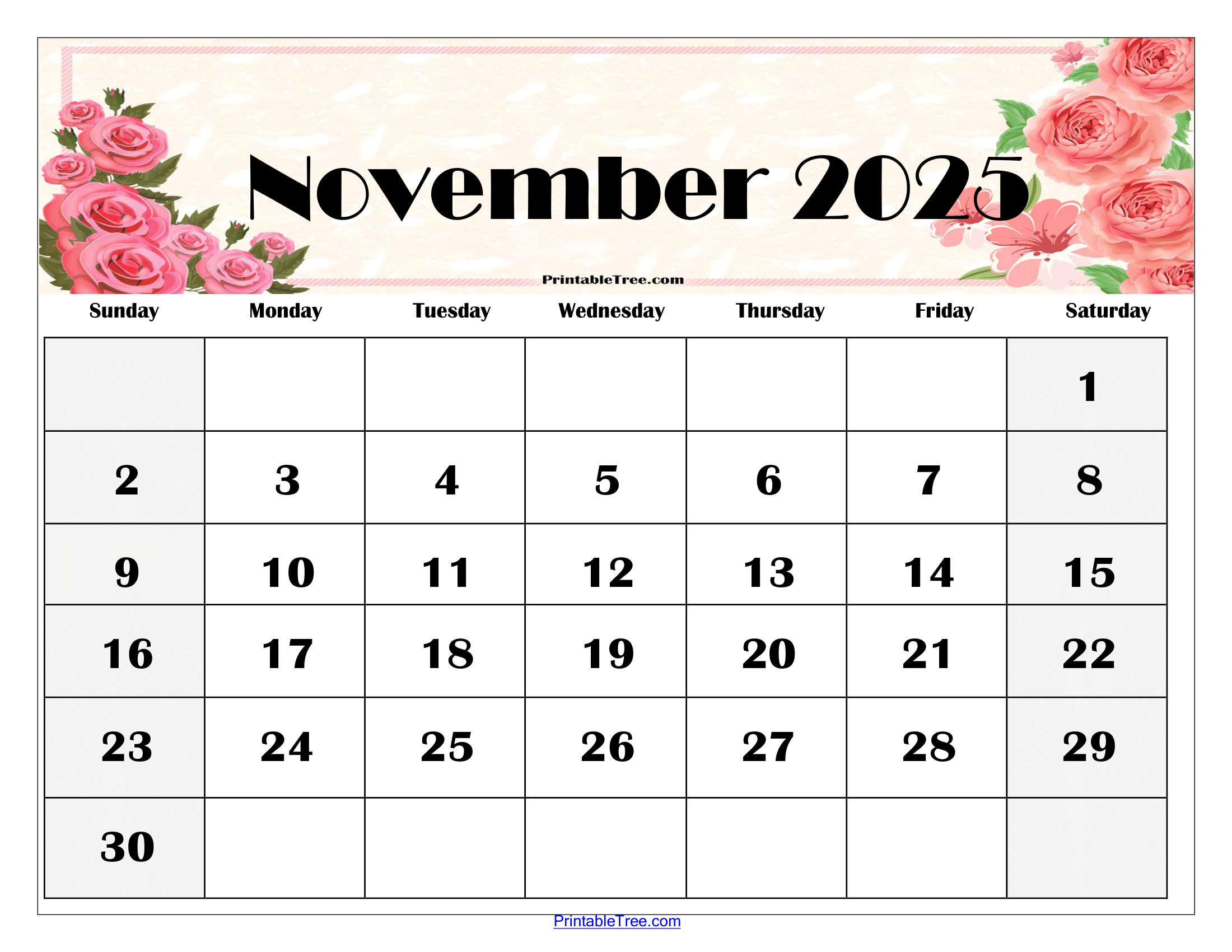 November Calendar 2025 Pdf