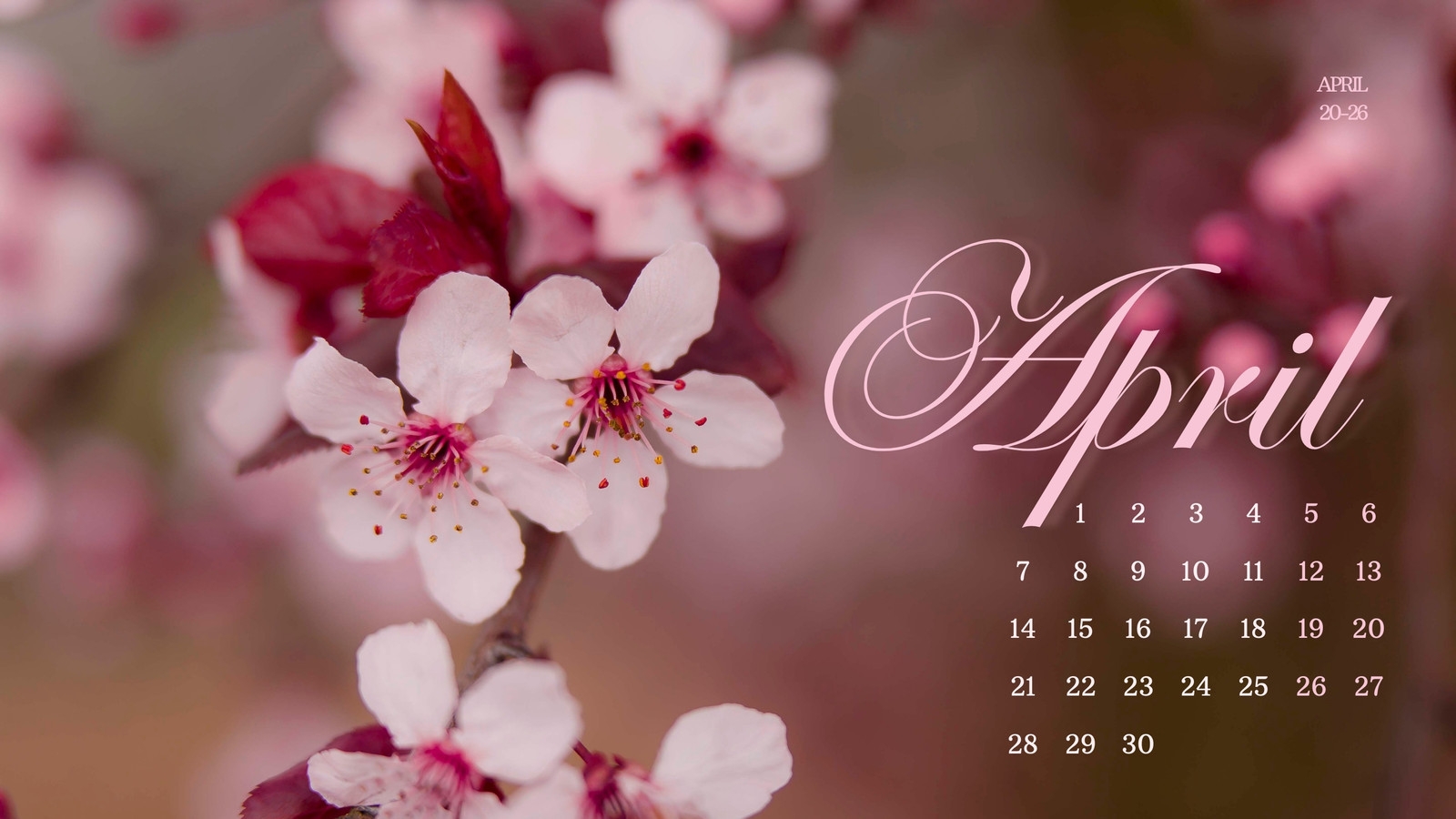 Page 6 Free And Customizable April Templates
