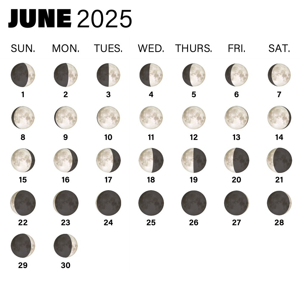 2025 Full Moon Calendar When To See The Full Moon And Phases