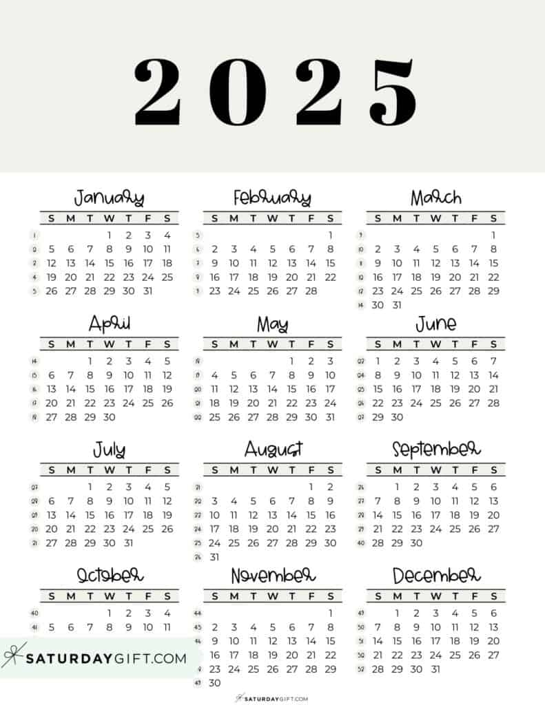 Calendar August To December 2025