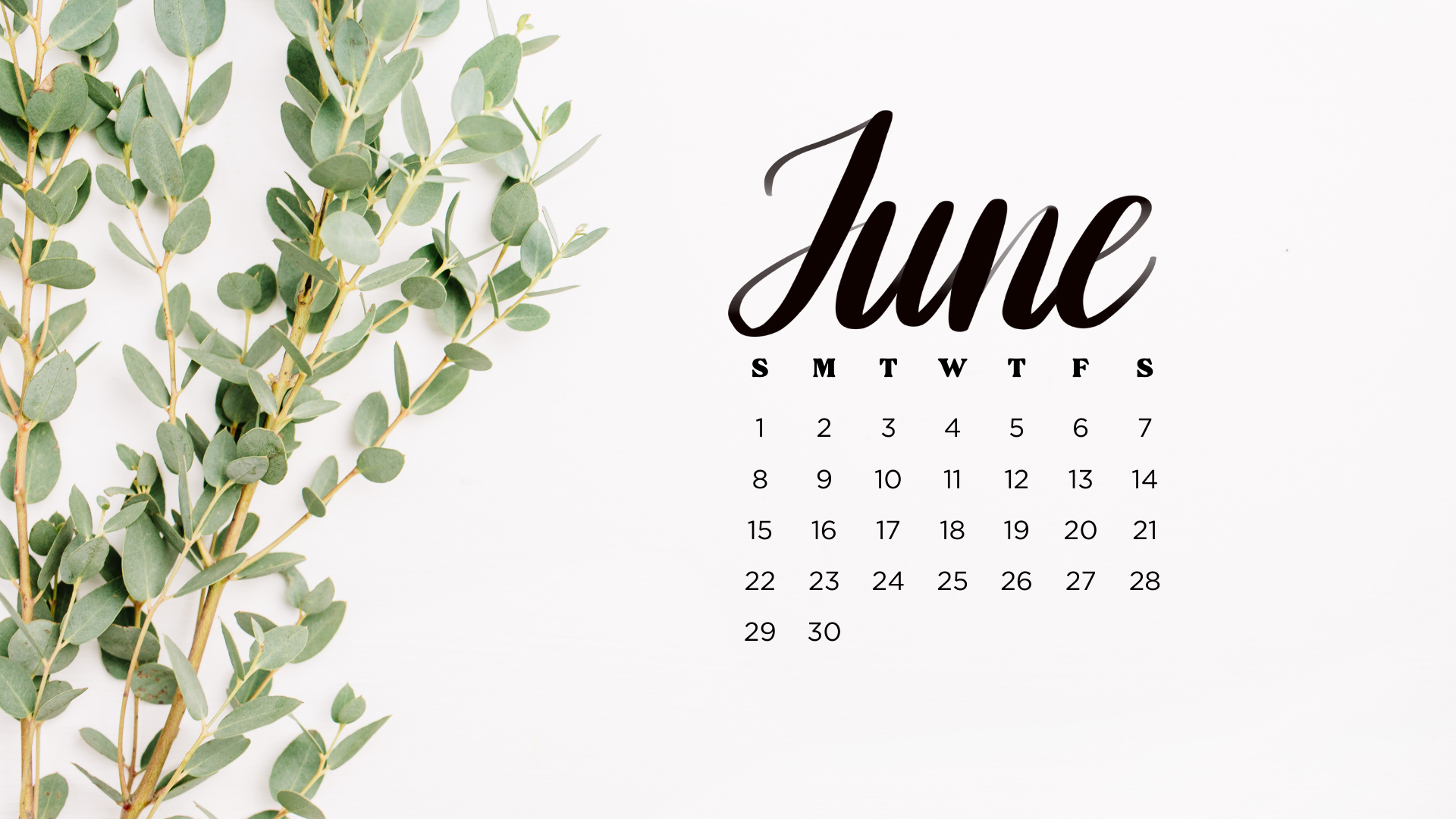 25 Free June 2025 Desktop Calendar Backgrounds EASY DOWNLOAD 