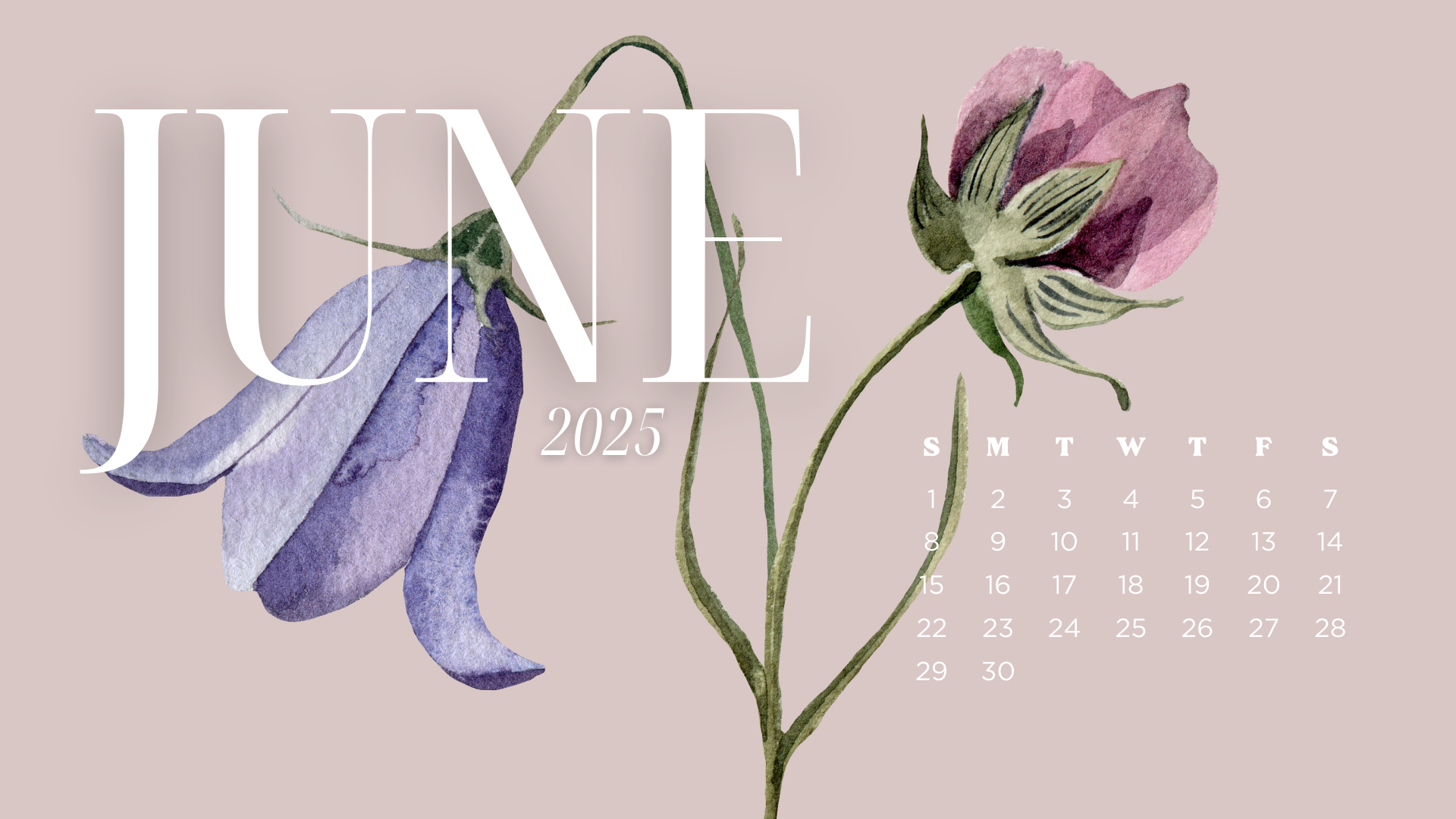 25 Free June 2025 Desktop Calendar Backgrounds EASY DOWNLOAD 