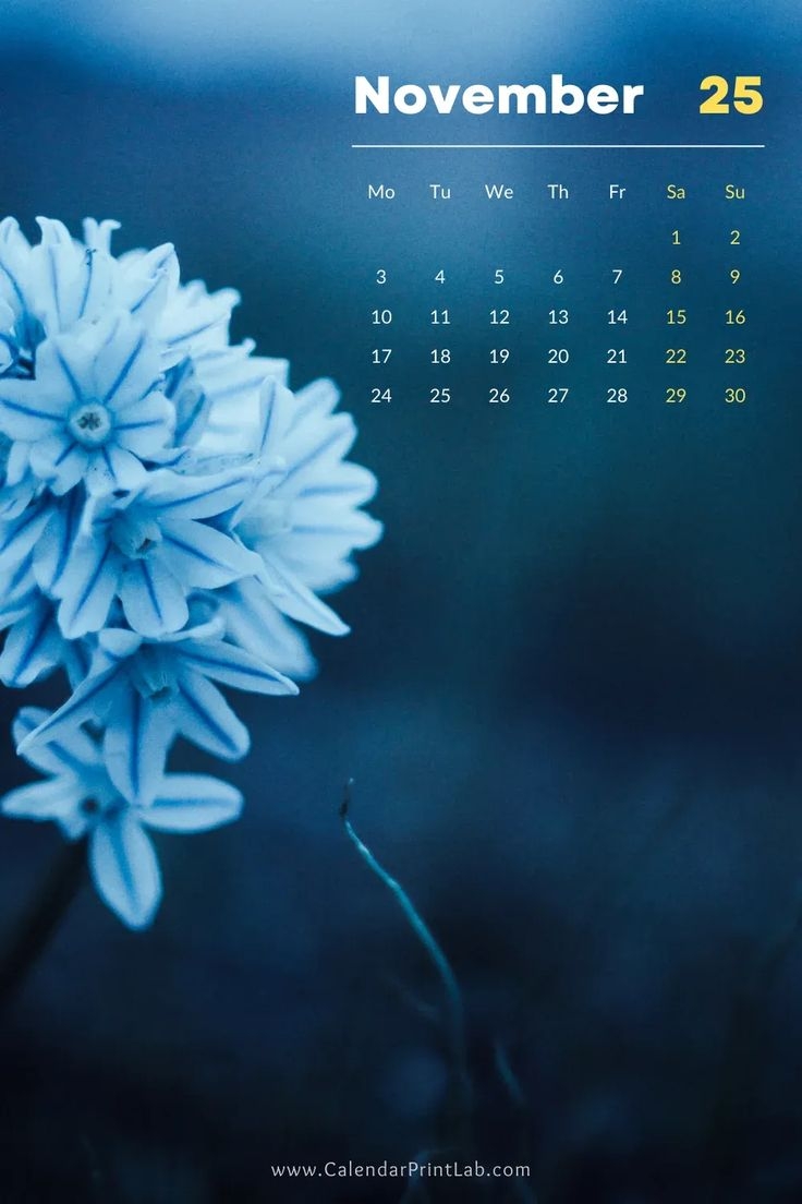November 2025 Calendar Wallpaper Iphone