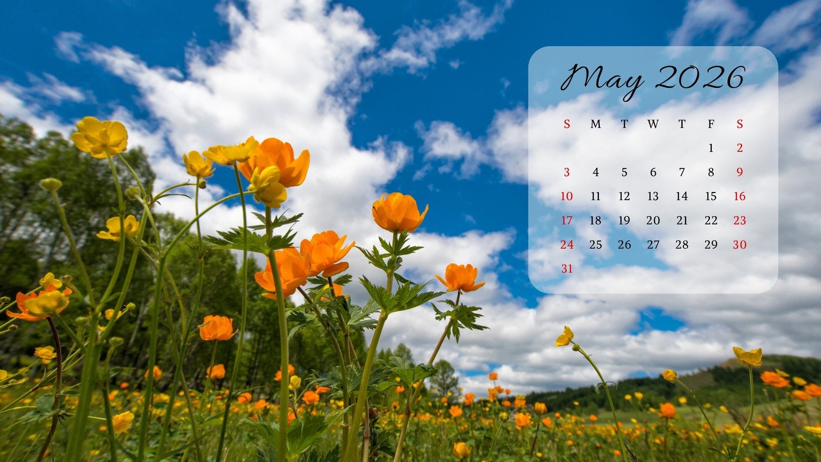 Page 12 Free And Customizable Nature Desktop Wallpaper Templates Canva