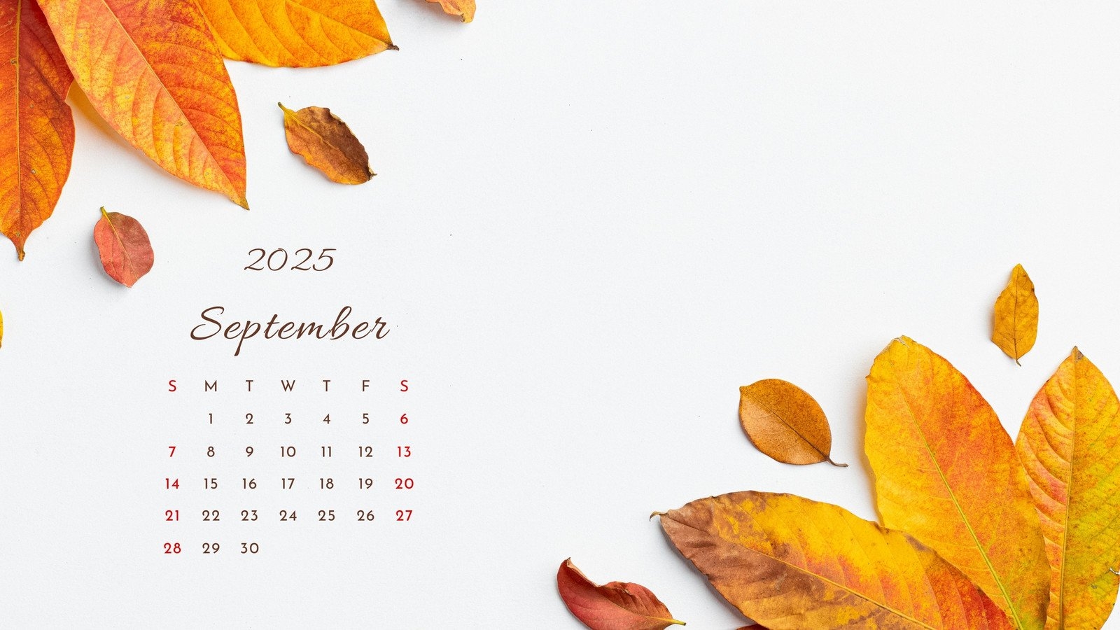 Page 3 Free Customizable Autumn Desktop Wallpaper Templates Canva